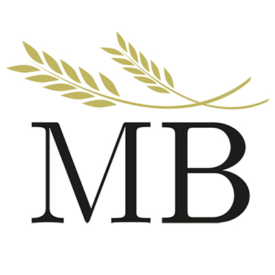 initial loading logo